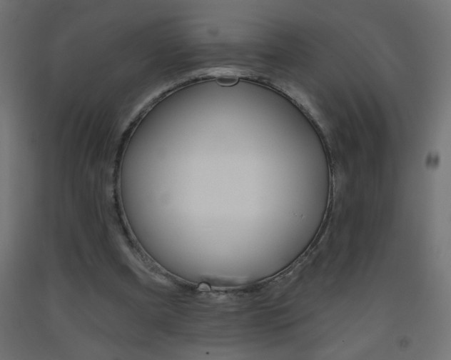 X0000093450297200710121011