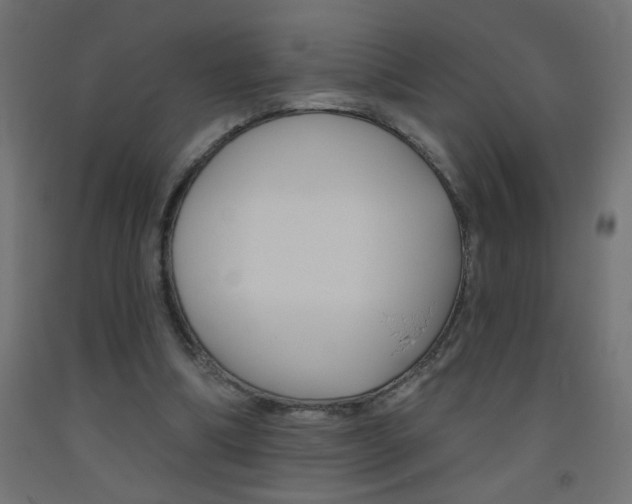 X0000093450298200710121011