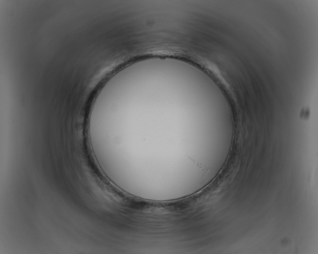 X0000093450299200710121011