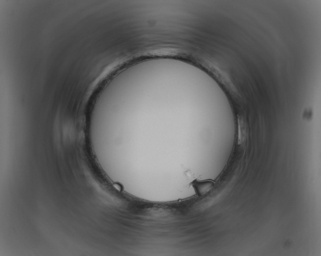 X0000093450300200710121011