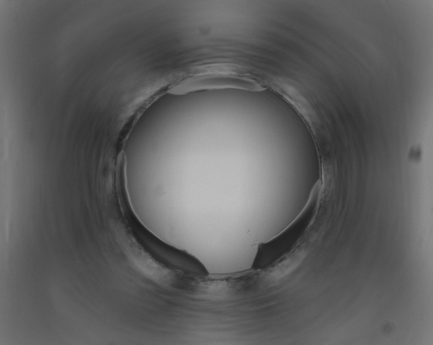 X0000093450301200710121011