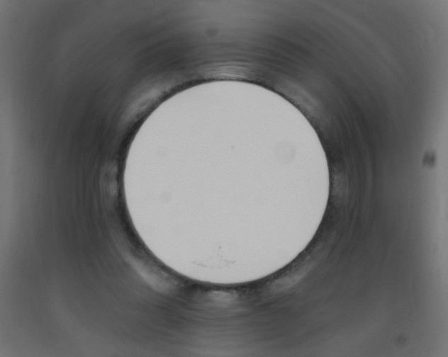 X0000093450302200710121011