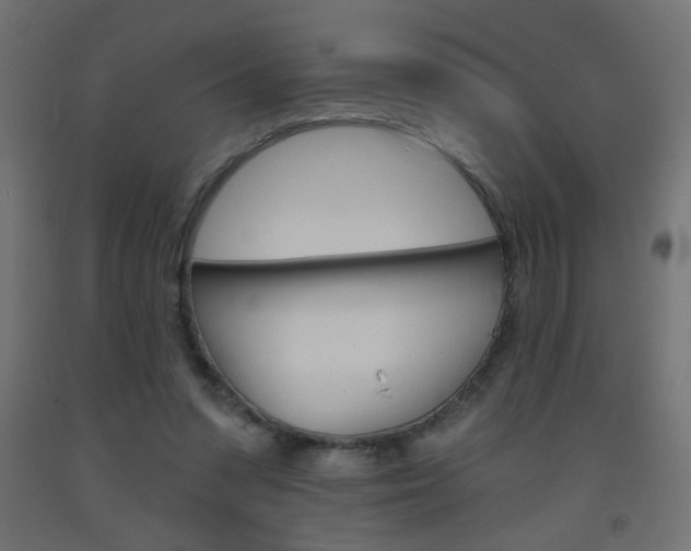 X0000093450303200710121011
