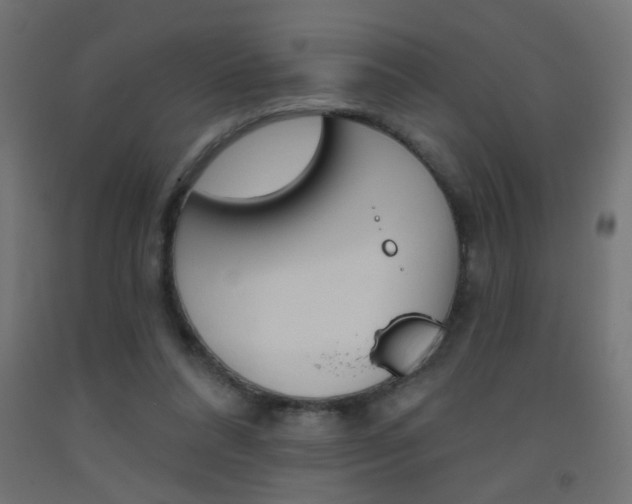 X0000093450304200710121011