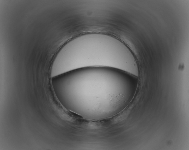 X0000093450305200710121011