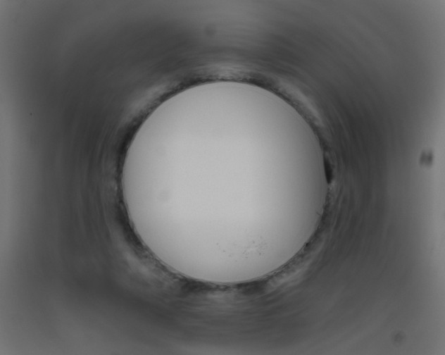 X0000093450306200710121011