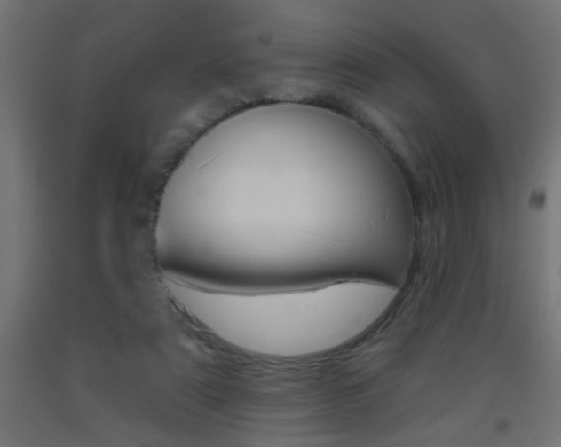 X0000093450307200710121011