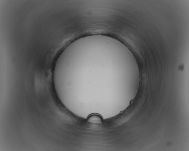 X0000093450308200710121011