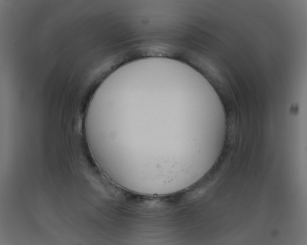 X0000093450310200710121011