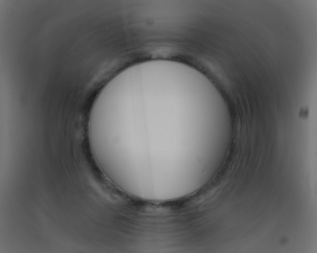 X0000093450311200710121011