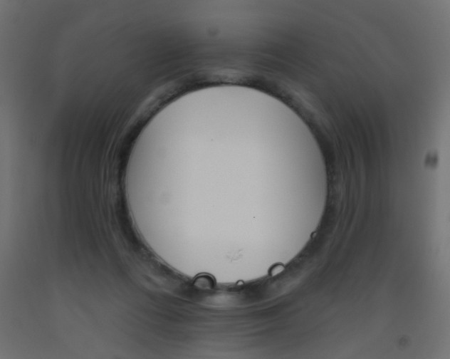 X0000093450312200710121011