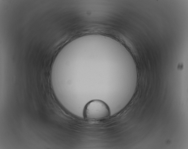 X0000093450313200710121011