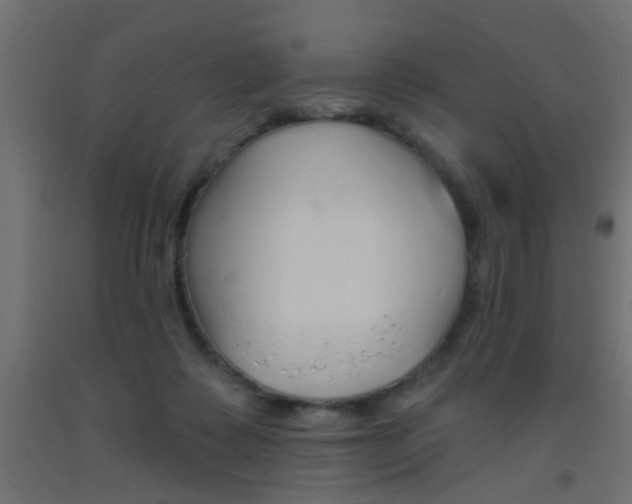 X0000093450315200710121011