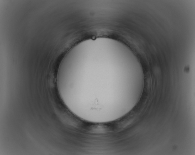 X0000093450316200710121011