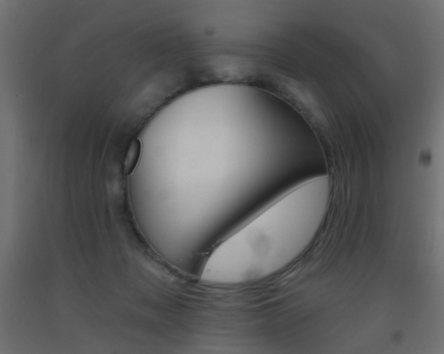 X0000093450317200710121011