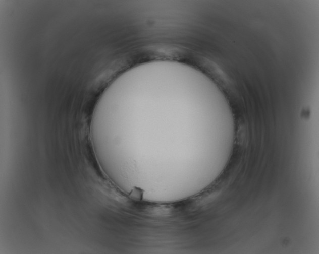 X0000093450318200710121011