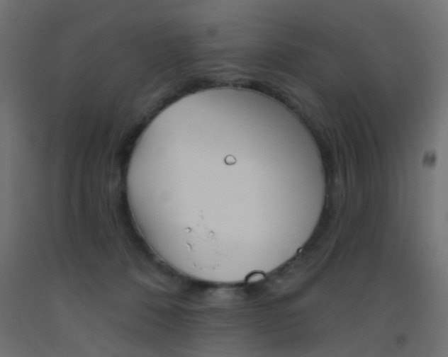 X0000093450320200710121011