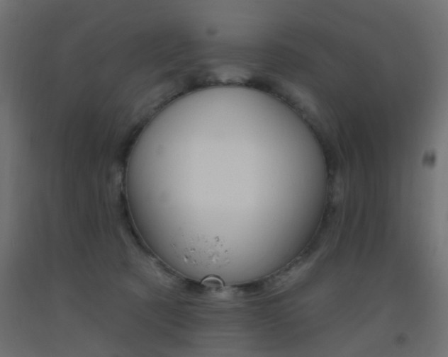 X0000093450321200710121011