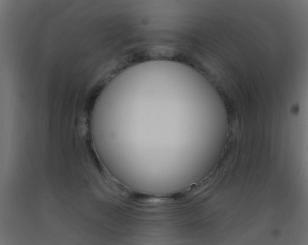 X0000093450323200710121011