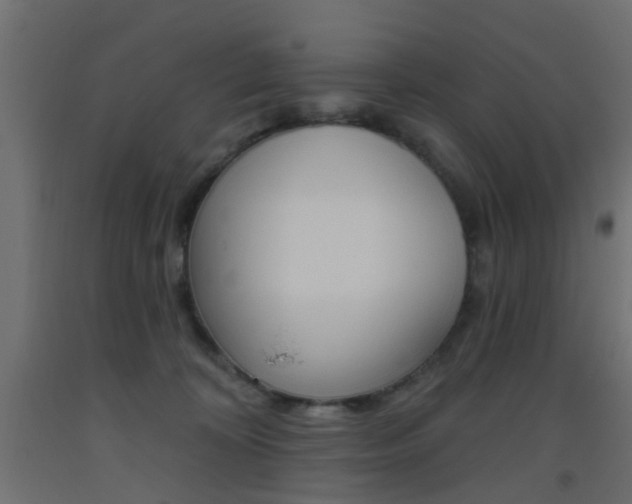 X0000093450324200710121011