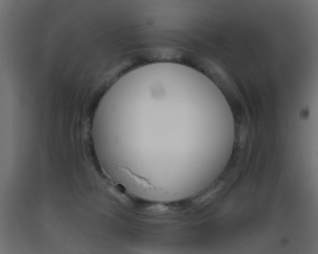 X0000093450326200710121011