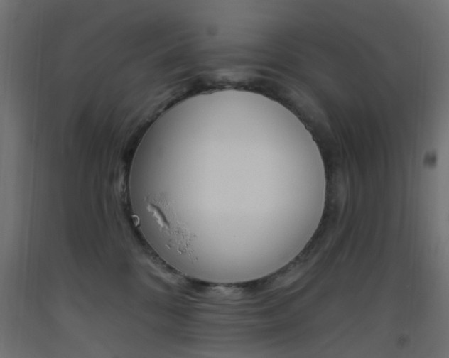 X0000093450328200710121011