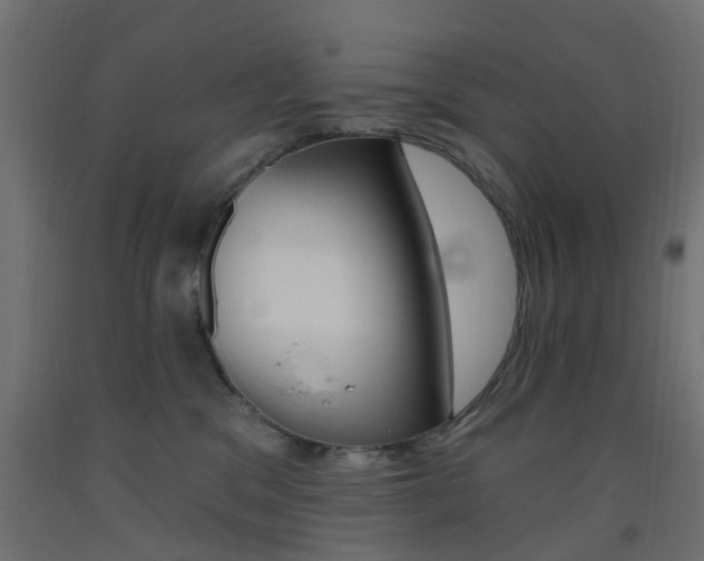 X0000093450329200710121011