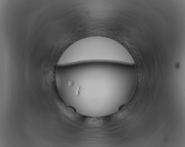 X0000093450331200710121011