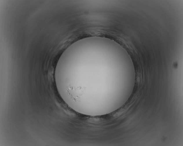 X0000093450332200710121011