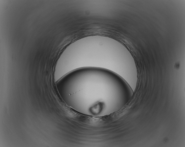 X0000093450333200710121011