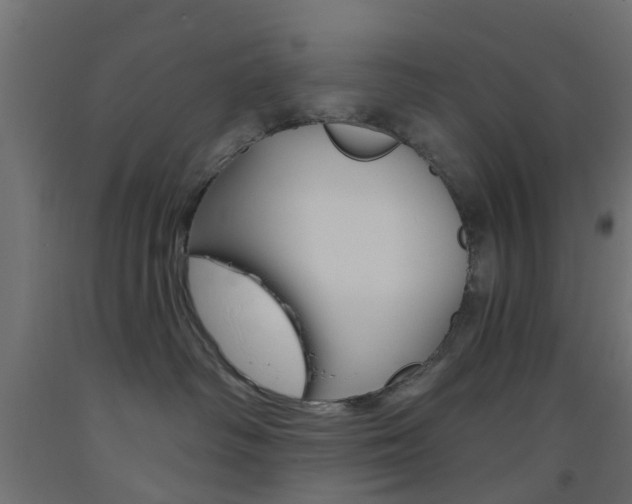 X0000093450334200710121011