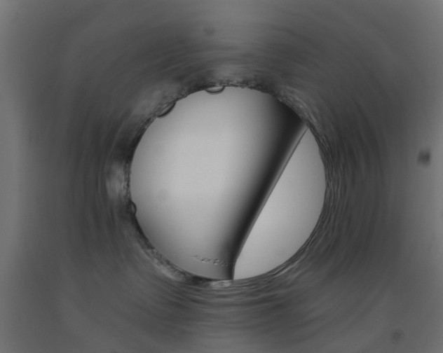 X0000093450335200710121011