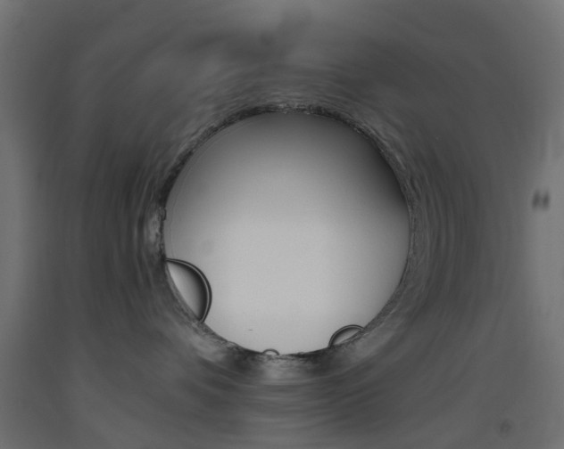X0000093450336200710121011