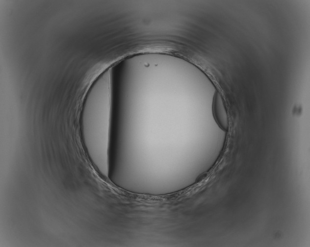 X0000093450337200710121010