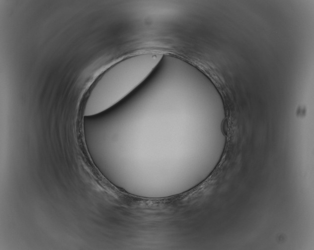 X0000093450338200710121010