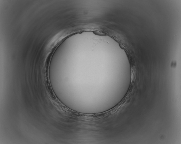 X0000093450339200710121010
