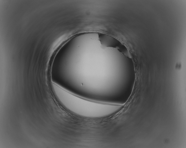 X0000093450340200710121010
