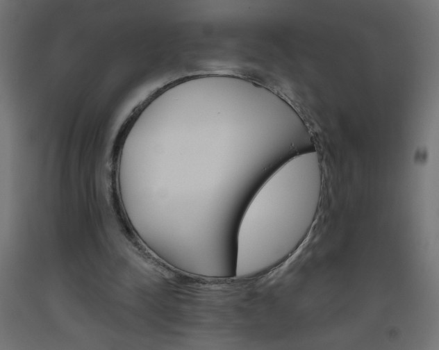 X0000093450342200710121010