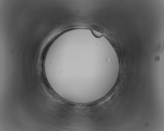 X0000093450343200710121010