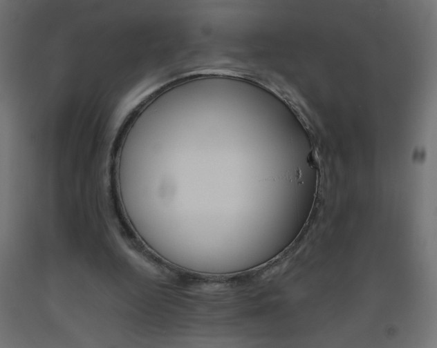 X0000093450344200710121010