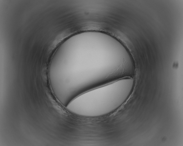 X0000093450345200710121010