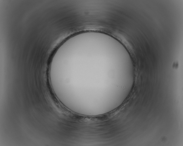 X0000093450346200710121010