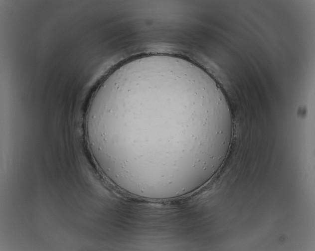 X0000093450347200710121010