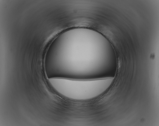 X0000093450348200710121010