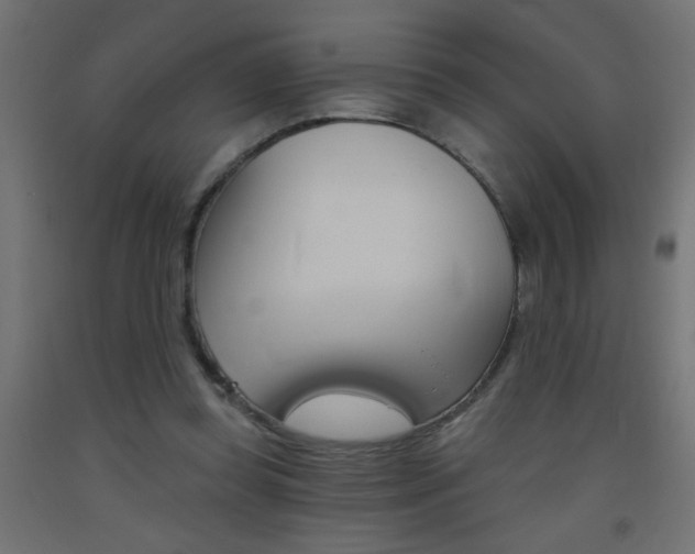 X0000093450349200710121010