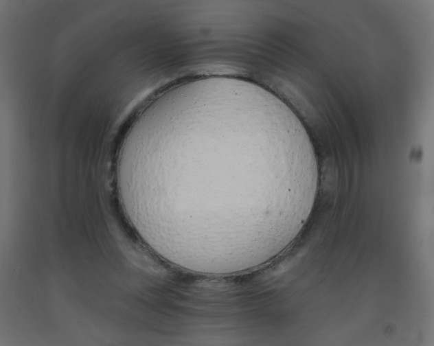 X0000093450351200710121010