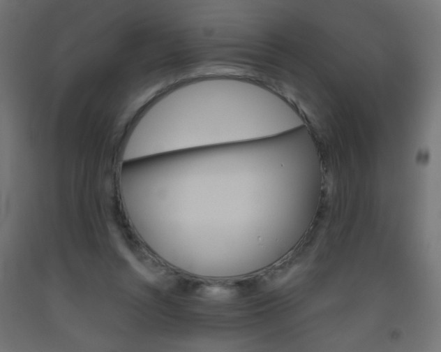 X0000093450352200710121010