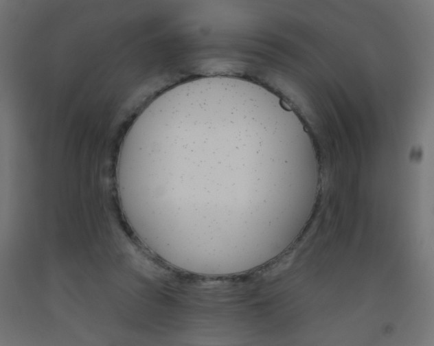 X0000093450353200710121010