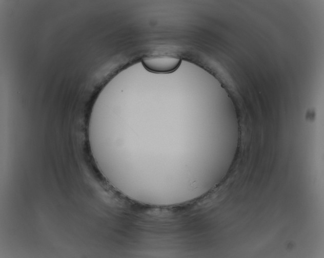 X0000093450354200710121010