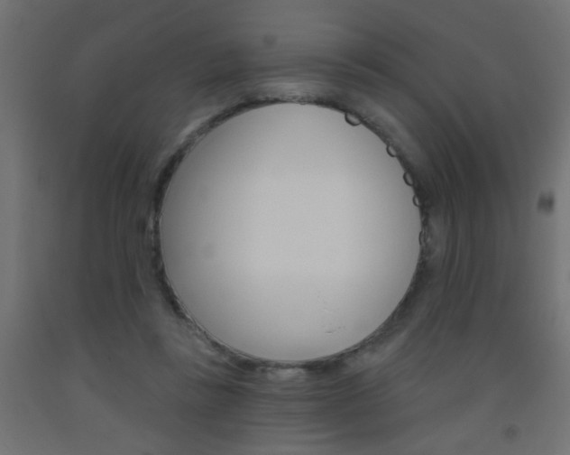 X0000093450355200710121010